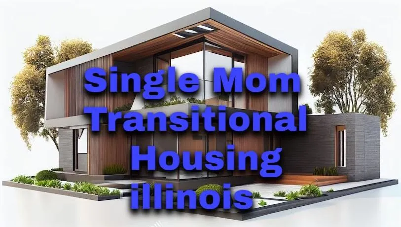 single mom transitional housing illinois