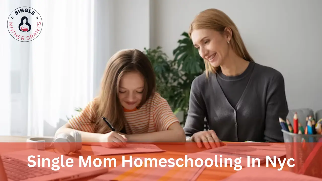 Single Mom Homeschooling In Nyc