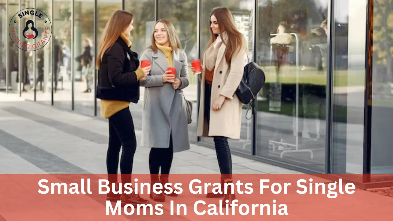 Small Business Grants For Single Moms In California