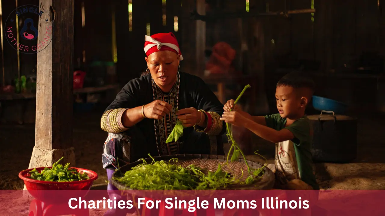 Charities For Single Moms Illinois