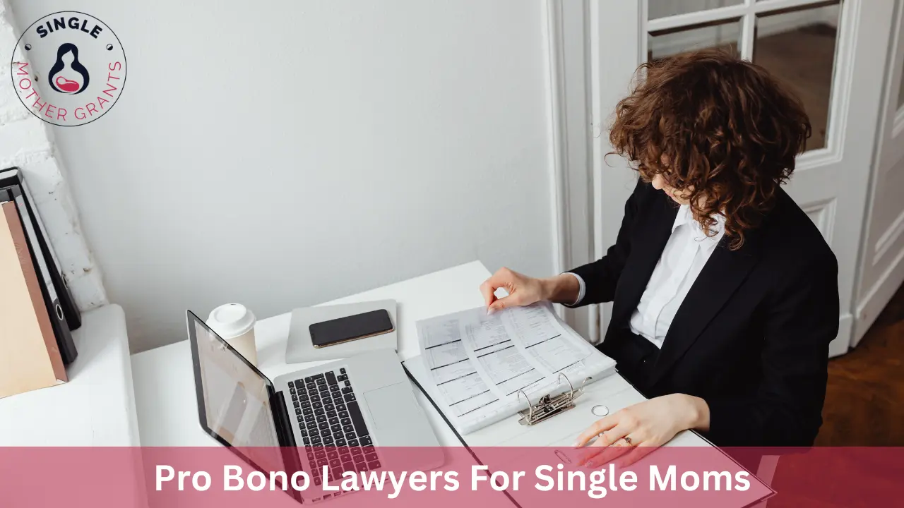 Pro Bono Lawyers For Single Moms